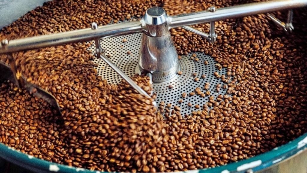 Vista de cima de um tambor de torrador industrial em operação, com grãos de café torrado sendo agitados por pás metálicas perfuradas, mostrando a etapa de resfriamento após a torra.