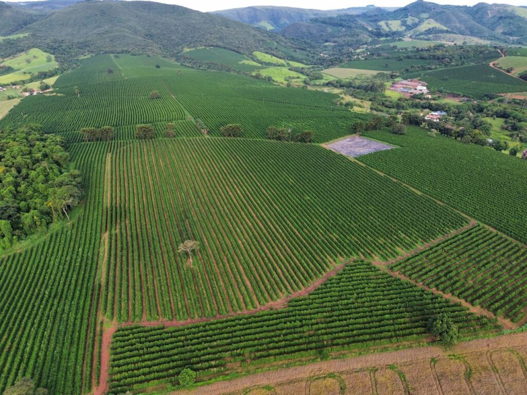 Vista aérea de uma extensa lavoura de café com fileiras bem organizadas de pés de café verde, cercada por morros e vegetação nativa. Ao fundo, uma construção rural e montanhas da Serra da Mantiqueira.