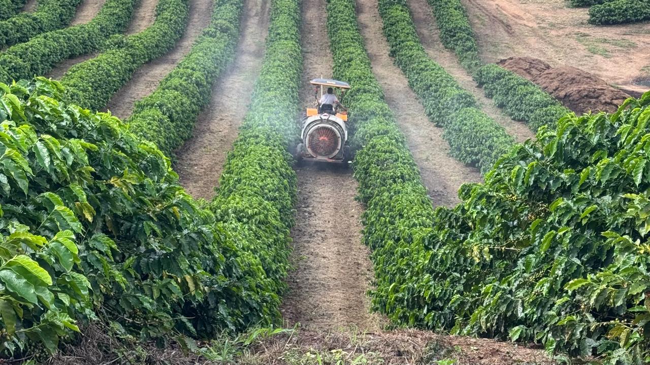 Vista aérea de uma lavoura de café com fileiras paralelas de pés de café verde e bem cuidados, com um trator ao centro percorrendo o corredor entre as plantas em dia com neblina leve.